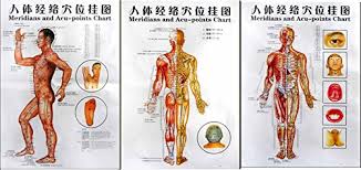 3 Massage Poster Charts Meridians And Acupuncture Human Body Points Chart In Chinese Part English