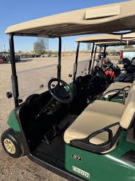 Image result for Green 2022 Fleet