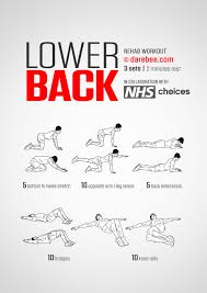Training your lower back is very important for stabilizing and supporting your spinal muscles. Build Up Lower Back Muscles Off 53