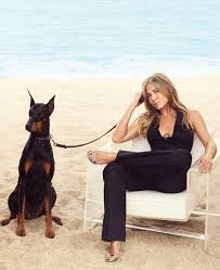 2,655,020 likes · 1,063,868 talking about this. Jennifer Aniston Covers Harper S Bazaar Us Fab At Every Age Issue June July 2019 Anne Of Carversville Jennifer Aniston Photos Jennifer Aniston Jennifer Aniston Pictures