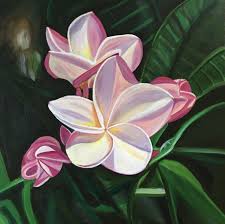 Frangipani Fusion Frangipani Paintings For Sale Art