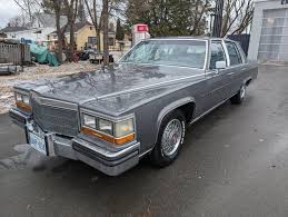 Image result for Grey 1986 Fleet