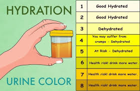 Image Result For Urine Color Chart Color Of Urine Health