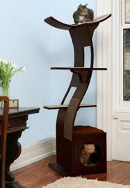 Build a fire under sb v expr verbal expression: Am I A Bad Pet Owner If I Don T Want Cat Furniture All Over My House