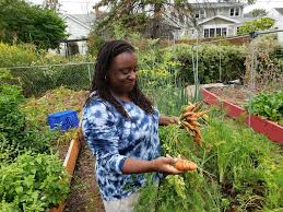 See more ideas about garden design, garden, beautiful gardens. What S An Affordable Way To Extend Chicago S Growing Season Wbez Chicago