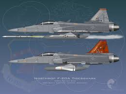 This is not strictly an a2a fighter, and can be used as a fighter bo. Flights Of Fantasy What If The F 20 Tigershark Went Into Production Secret Projects Forum