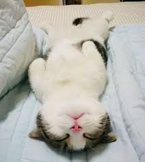 Pin On Sleep