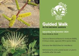 Image result for Elephantorrhiza suffruticosa