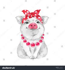 Funny Pig Wearing Bandana Isolated On White Cute Watercolor Illustration Royalty Free Image Illustration Pig Painting Cartoon Drawings Of Animals Pig Art