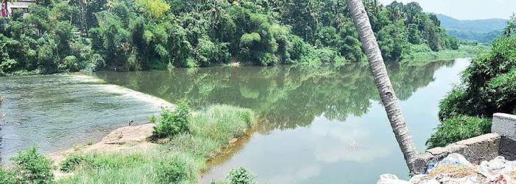 Will the pampa and the achankovil quietly flow to TN?
