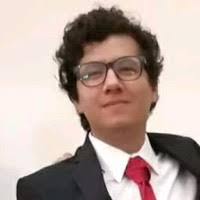 60+ "Fernando Arreguin" profiles