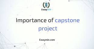 We write every capstone paper using the provided requirements. What Is A Capstone Project And It S Importance Essaymin