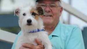 Walkers in a flap as Barney heads to sea chasing seagulls