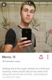 As you read the tinder bio examples, you will notice how short they all are. 60 Creative Tinder Bios You May Want To Steal For Yourself Inspirationfeed