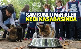 Samsunlu Minikler Kedi Kasabasinda