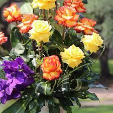 Whether you are celebrating a birthday,. Flowers By Nino 57 Photos 32 Reviews Florists 5805 Chimney Rock Rd Houston Tx Phone Number Yelp