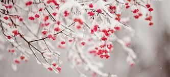 20 Facebook Covers That Will Make Your Winter Stunning Christmas Twitter Headers Cover Pics For Facebook Winter Wallpaper