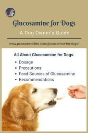 Pin On Dog Health Issues