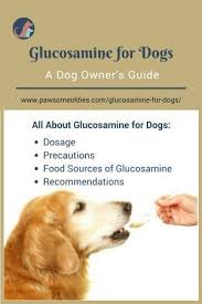 For dogs suffering from diabetes. Pin On Dog Health Issues