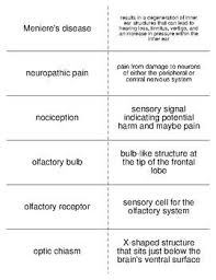 Flash Cards Covering The Terminology That Will Be Used When Introducing Sensation And Perception To Psycho Vocabulary Flash Cards Psychology Psychology Student