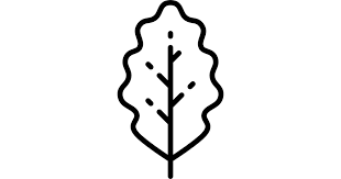 Pin On Ikoner Till Folder