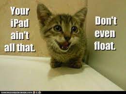 You Bad Kitteh