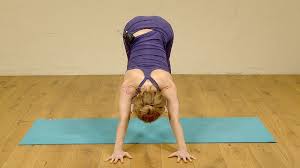 Practice The Perfect Down Dog At Home Arm Rotation In Downward Facing Dog Ekhart Yoga Downward Facing Dog Yoga At Home Yoga