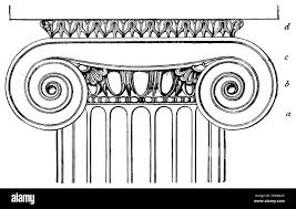 Image result for Plinthus