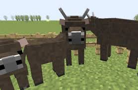 They serve many different useful purposes like giving you speed boosts, flight, and climbing up walls! Pets Mod For Minecraft Pe For Android Apk Download