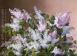 Spray Of Lilacs Painting By Raoul Maucherat De Longpre Reproduction 1st Art Gallery Flower Painting Flower Art Floral Painting