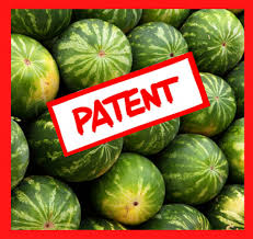 All fruits like custard apple, pears, watermelon, dates, lemon, peaches, honeydew, red and green grapes, plums, melon, banana. Epo Grants Basf A Patent On Water Melons No Patents On Seeds