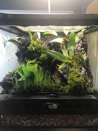 Nano Vivarium Vivarium