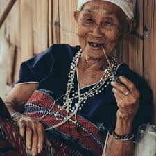 Elephant Jungle Expedition- 1 Day (Group Trip) » Chai Lai Orchid