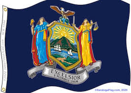 We did not find results for: New York State Nys Flag Cuomo Design 2020 Prototype E Pluribus Unum