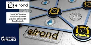 Want daily egld price updates? Elrond Egld Considers Interoperability Between Blockchain Is Important To Scale Blockchain