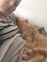 A contrario une garde simple est une garde où la nounou garde les enfants d'une seule famille, à un seul domicile. Dog Walking In Rue De Conde La Madeleine Promenade La Madeleine Petbacker Nord Pas De Calais