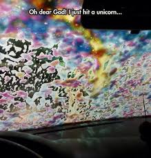 Nyan Cat Not Quick Enough Crossing The Road Snapchat Funny Funny Snaps Really Funny