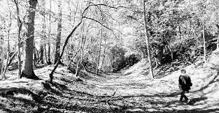 Everything Looks In Black And White Breamish Valley