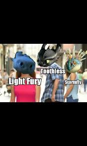 Httyd 3 Meme How Train Your Dragon How To Train Dragon How To Train Your Dragon