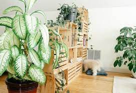 Yizunnu hanging room divider made of pvc panels screen, room divider for decorating living room, dining room, sitting room, office, restaurant decoration(white, 12 pcs) 4.0 out of 5 stars 122 $29.99 $ 29. 20 Outstanding Indoor Plants Room Divider Ideas Balcony Garden Web