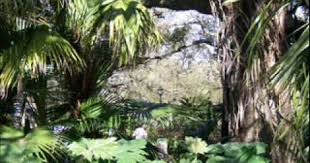 Youtube New Orleans Music New Orleans Zoo Songs