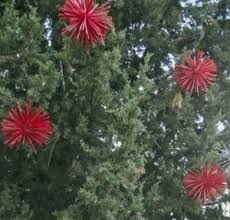 Dhgate are always here to offer outdoor christmas decorations with lowest price, highest quality, and best customer services. 50 Cheap Easy Outdoor Christmas Decorations Prudent Penny Pincher