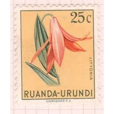 Image result for Littonia