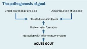 Your dose will depend on the reason you are taking this medicine. Managing Patients With Gout Gponline