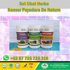 Kanker payudara merupakan momok yang paling menakutkan dan penyakit yang paling mematikan. Harga Ubat Tradisional Paling Berkesan Untuk Pesakit Kanser Payudara Ubat De Nature Indonesia