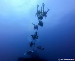 Divers Hanging On In The Current Diving The Duane Florida Key Shipwreck In Key Largo Usa Diving Scuba Diving Key Largo Florida