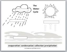 Learning Ideas Grades K 8 The Water Cycle With Ms Frizzle Water Cycle Worksheet Water Cycle Water Cycle For Kids