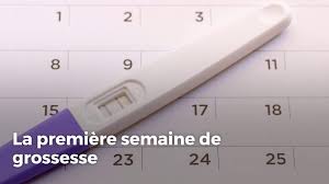 C'est une véritable étape dans sa croissance, puisqu'il mesure à présent entre 5 et. La Premiere Semaine De Grossesse Video Dailymotion
