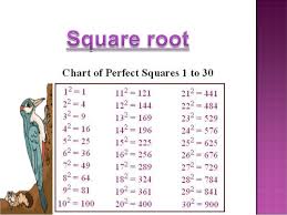 Squares Square Roots Class 8th