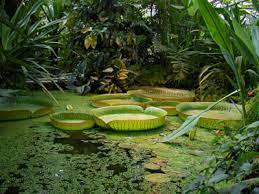 Hier kann man sich in der natur vom kirchensightseen erholen. Munster Reisefuehrer Botanischer Garten Schwarzaufweiss